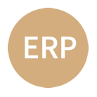 送ERP系统